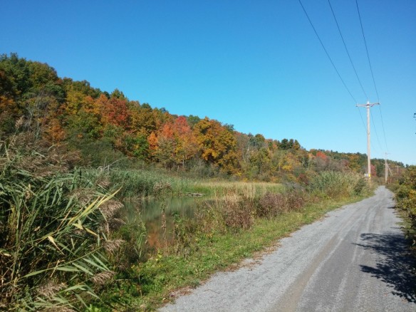 Looking north along Historic Champlain Canalway Trail S of Brookwood Road