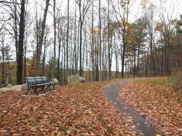 Bench and overlook along Spur Trail to Route 9
