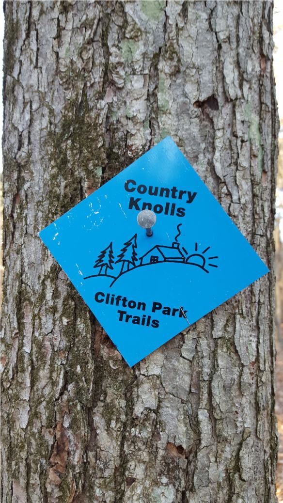 Trail marker along South Branch Trail (blue trail)