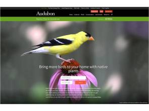 audubon-native-plant-database