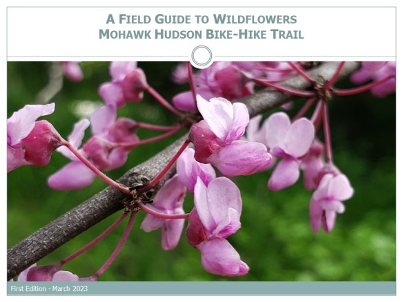 Wildflower Field Guide-Mohawk Hudson Bike-Hike Trail-1st ed