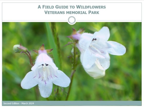 Field Guide to Wildflowers-Veterans Memorial Park-2nd ed-cover